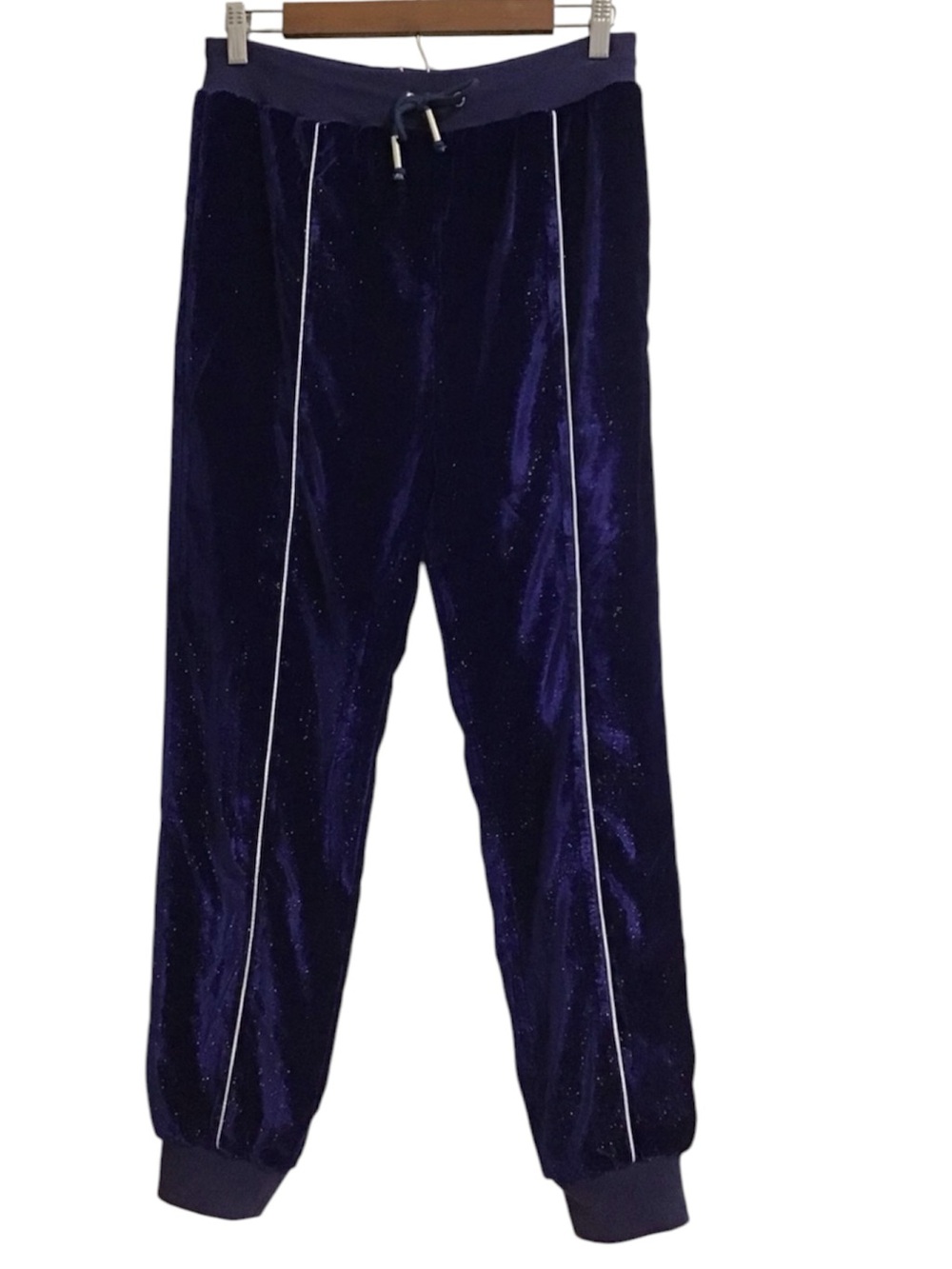 Hours Blue Velvet Metallic Satin Lined Jogging Pants Size Small